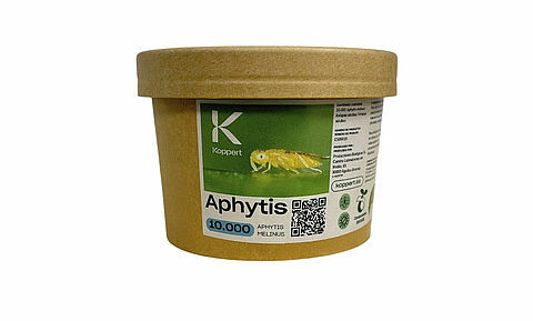 Aphytis