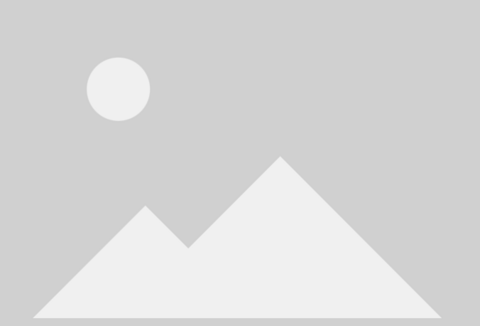 Traça oriental da fruta