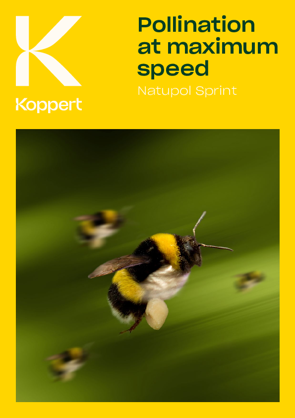 Natupol Sprint Brochura