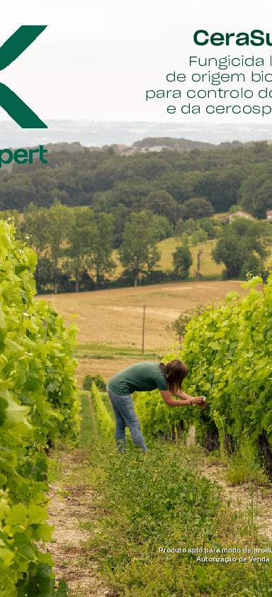 CeraSulfur - Folheto