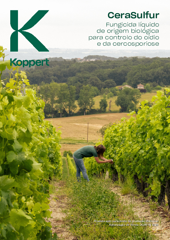 CeraSulfur - Folheto