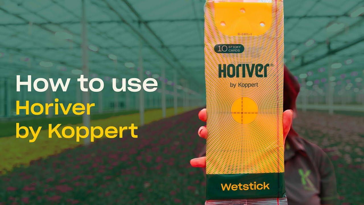 How to use Horiver Sticky Traps - Trap and Monitor Flying Insects How to use Horiver Sticky Traps - Trap and Monitor Flying Insects