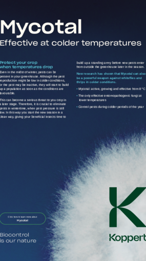 Mycotal - Effective at lower temperatures