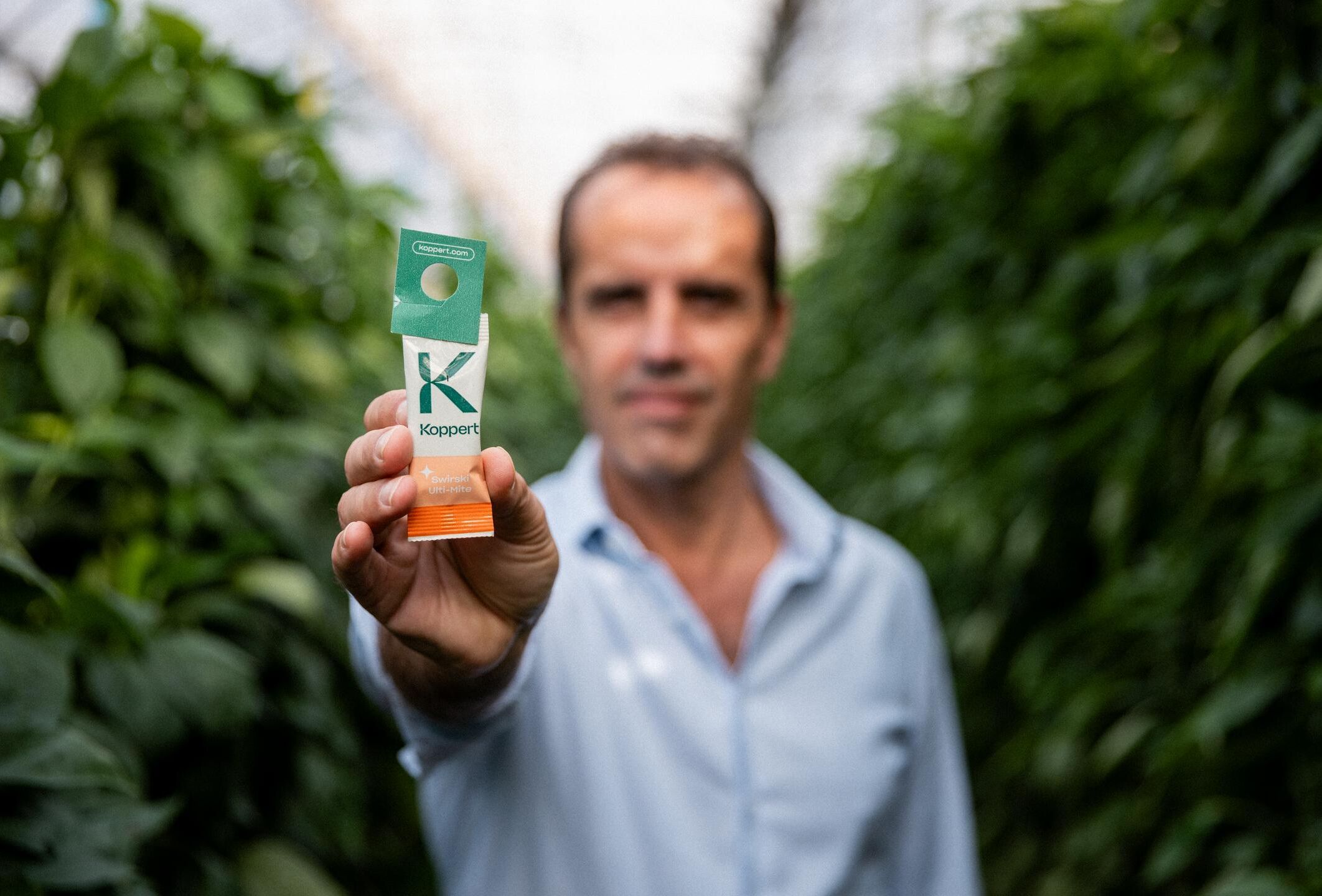 Um ponto de viragem em Almeria: como os ácaros predadores ajudaram a transformar a agricultura