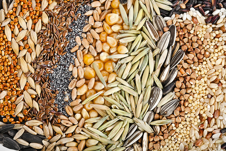 o que é o tratamento de sementes