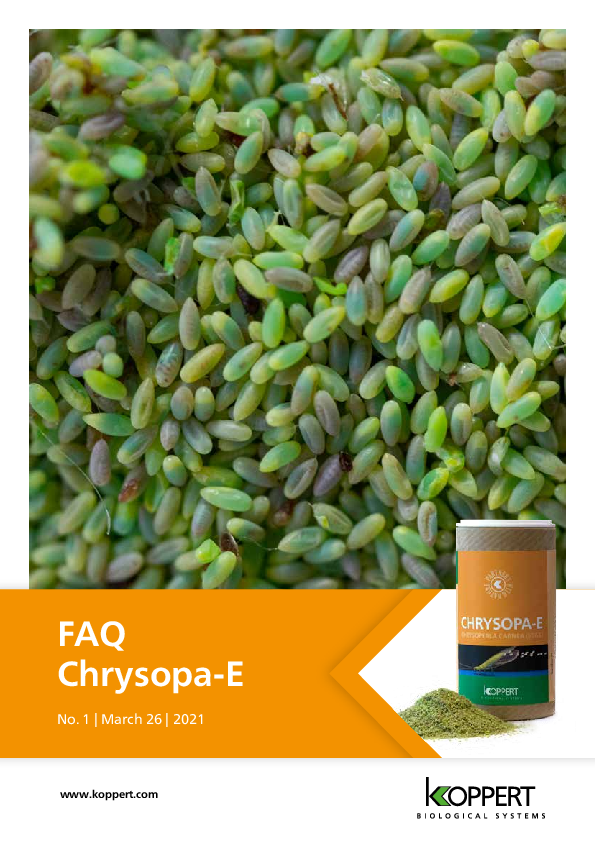 FAQ Chrysopa-E