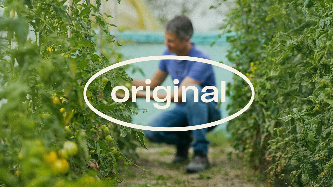 Tom Groot explica como a Kopppert está na vanguarda da inovação em ácaros predadores