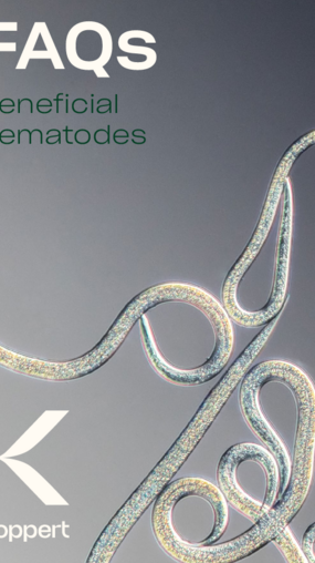 FAQ Nematodes