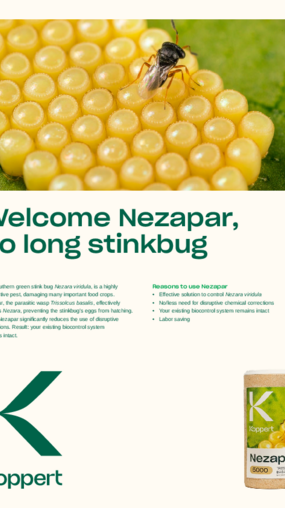 Effect of Nezapar Leaflet