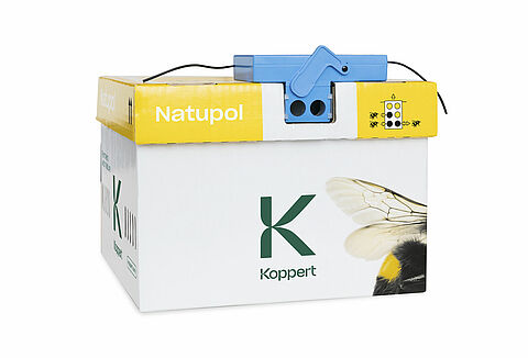 Wireless Beehome