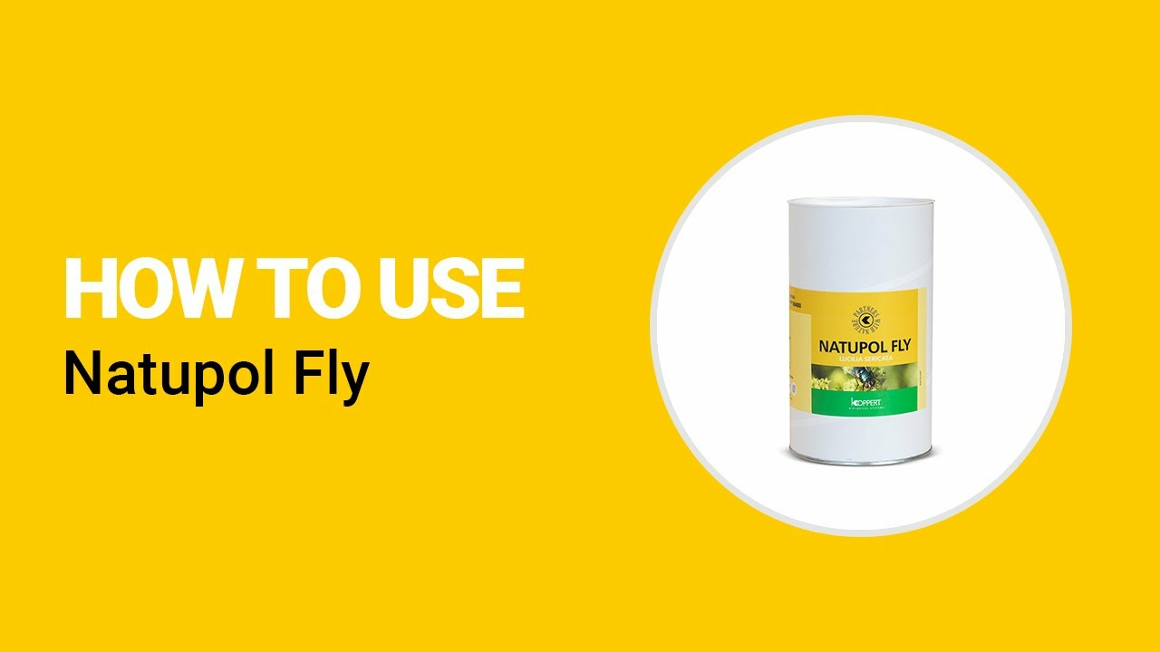 How to use Natupol Fly from Koppert